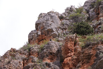 Rock bastion in the middle of the wild