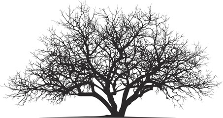 Silhouette of a large bare tree with intricate branches. Vector illustration