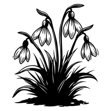 black and white snowdrop flowers silhouette clip art preview