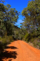 Serpentine Falls is one of Perth’s best waterfalls and is stunning, with ancient landforms, woodlands, and wildflowers. September 10th 2022.