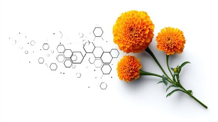 Orange marigold flowers with abstract science pattern