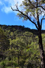 Serpentine Falls is one of Perth’s best waterfalls and is stunning, with ancient landforms, woodlands, and wildflowers. September 10th 2022.