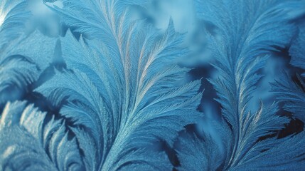 Delicate Frost Patterns on a Windowpane in Blue Light