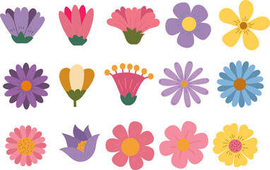 Set of blossom flower heads. Daisy, sunflower, wildflower isolated on white background. Vector illustration