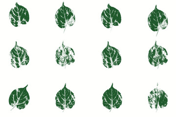 Natural linden tree leaves imprint, Grunge style, Vector, Isolated, Decorative elements for design	