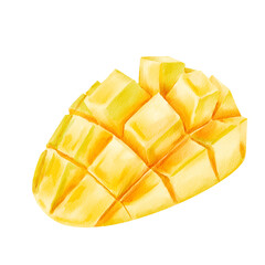 Watercolor Illustration of Mango Slice