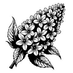 Elegant floral sprig illustration showcasing delicate flower clusters and textured leaves