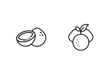 Line art vector illustration of coconut and citrus fruits isolated on a white background