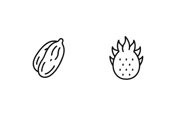 Minimalist outline illustration featuring a dragon fruit and a peanut isolated on white background