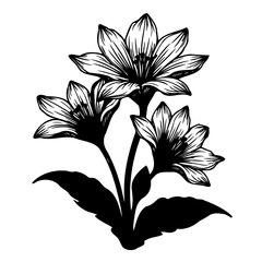 Elegant floral botanical illustration with exquisite lily flower arrangement