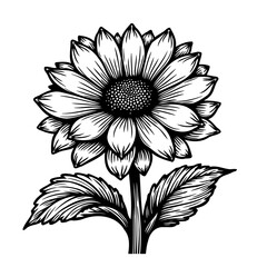 Botanical illustration of a stylized sunflower with intricate linework details