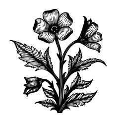 Elegant monochrome botanical illustration featuring a detailed floral design artwork