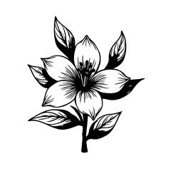 Elegant floral vector illustration featuring a blooming flower and leaves