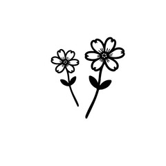 Simple Floral Outline: Minimalist Black and White Flower Illustration Art Design
