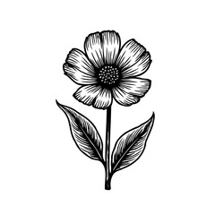 Elegant monochrome floral illustration with textured petals and detailed leaves