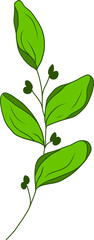 green leaf, hand drawn cartoon style leaf drawing.