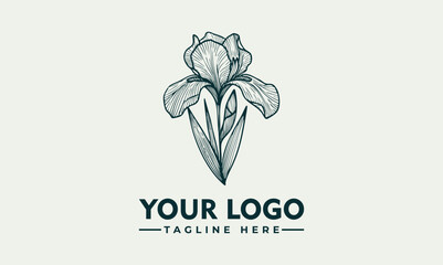 Elegant Line Art Illustration of an Iris Flower with Graceful Petals and Detailed Stem. Floral Design Concept