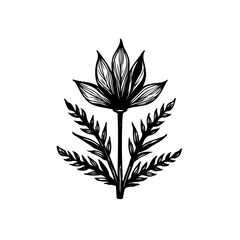 Elegant floral arrangement showcases stark monochromatic botanical illustration