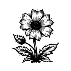Monochrome botanical illustration showcasing a flower with intricate linework detail