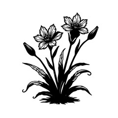 Elegant Floral Silhouette Depicting Daylily-Like Blossoms in a Minimalist Design