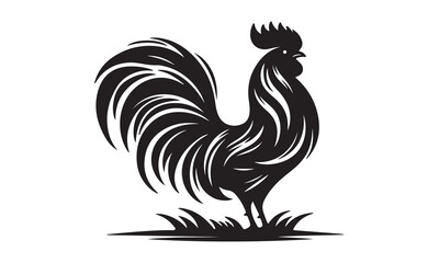 Proud Rooster Silhouette Standing on Grass.