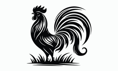 Proud Rooster Silhouette Standing on Grass.
