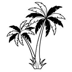 palm tree isolated on white