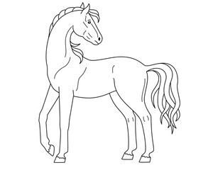Horse, domestic animal symbol 2026 - vector linear picture for coloring. Outline. Mare thoroughbred graceful animal with a long tail loya coloring books