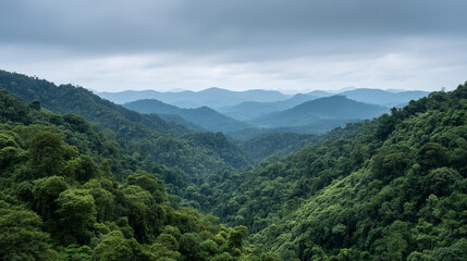 Fototapeta premium Misty emerald forest valleys stretch infinitely, evoking Earth's lush tapestry, reminiscent of World Environment Day and the Green Festival