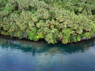 An extensive rainforest covers a remote, tropical island near Halmahera, Indonesia.This beautiful area is home to extraordinary marine and terrestrial biodiversity.