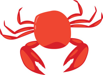 Ocean Crab Illustration