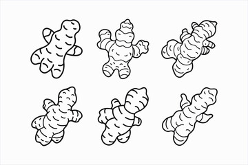 set of ginger line art vector illustration