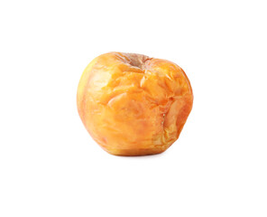 One whole rotten apple isolated on white