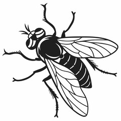 Insect Silhouette Vector – Black Winged Bug Illustration with Clean Lines and High Contrast