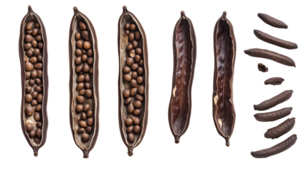 Whole and split carob pods with seeds laid out isolated on transparent background (3)