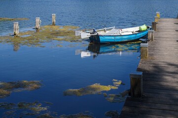 Obraz premium Small blue fishing boat moored near wooden pier on calm lake with algae