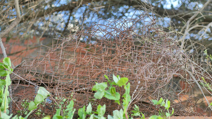 Construction waste close-up, debris, waste, environmental pollution, environmental problem, threat...