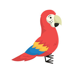 Colorful tropical macaw bird. Vector