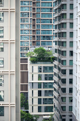 Pool surrounded by green rooftop garden on skyscraper. Urban oasis with trees and shrubs, sustainable architecture, warm climate environment, high rise green space, eco conscious urban living 