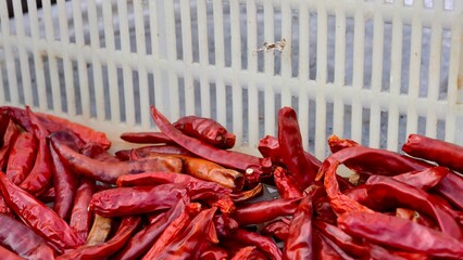 Dried Red Chili Peppers Gathered in a Basket to Enhance Culinary Dishes and Flavor Profiles