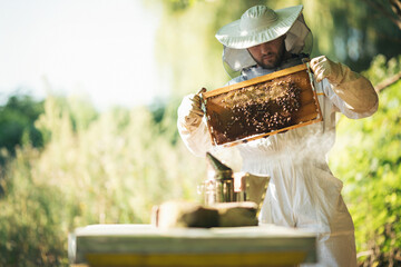 Young beekeeper  taking care of bee hives