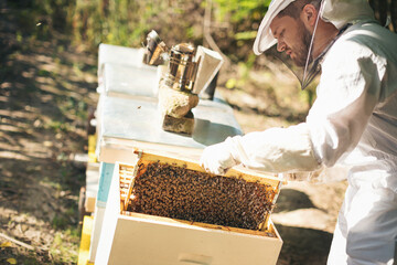 Young beekeeper  taking care of bee hives