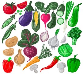 Colorful Vegetable Clipart, food illustration 