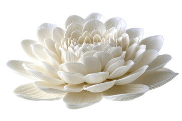 Exquisite Creamy White Porcelain Flower a symbol of purity and elegance against a dramatic on transparent background