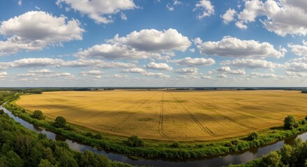 Aerial view of golden field river and blue sky with clouds
