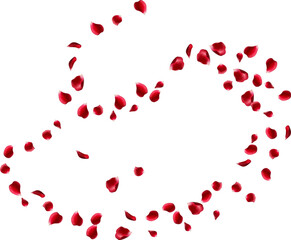 Red rose petals fly in a circle. The center free space for Your photos or text. white background