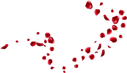 Red rose petals fly in a circle. The center free space for Your photos or text. white background