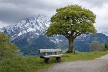 Mountain Majesty: Rustic Bench, Lush Tree, Serene Landscape