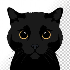 Realistic peeking black cat with big yellow eyes. Vector illustration