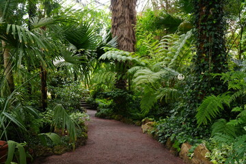 The greenhouse of the botanical garden inside